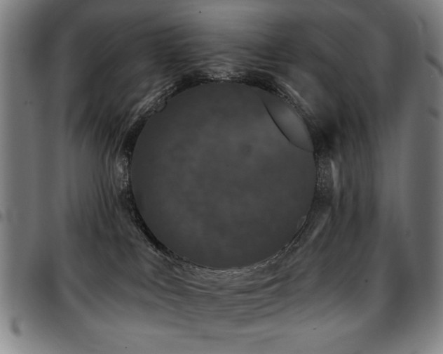 X0000097590043200802291229