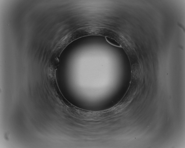 X0000097590044200802291229