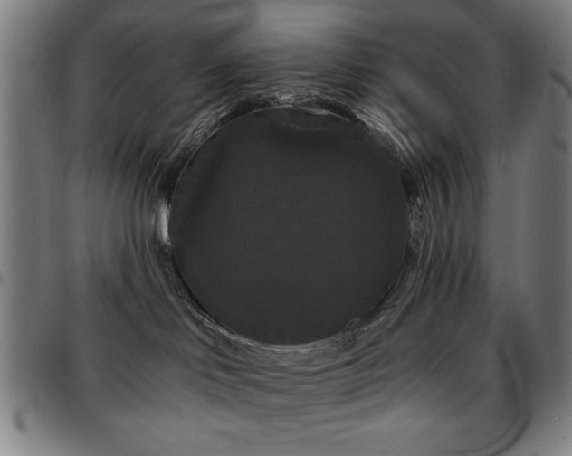 X0000097590046200802291229