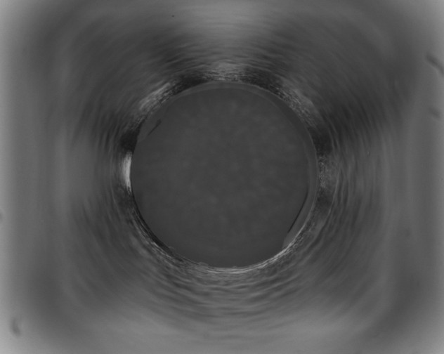 X0000097590047200802291229