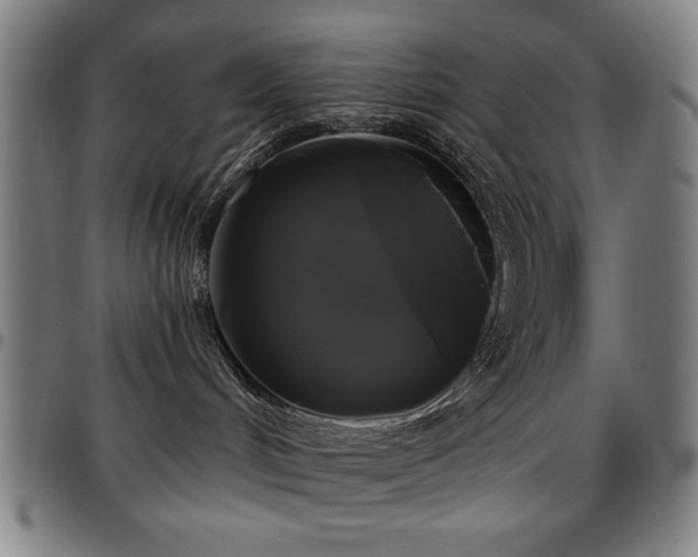 X0000097590048200802291229