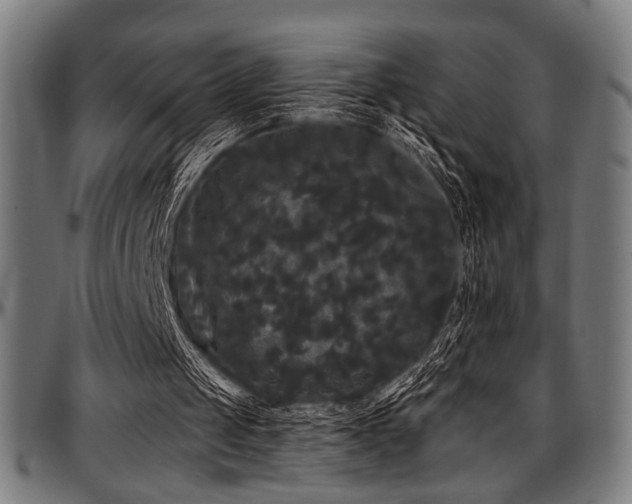 X0000097590049200802291229