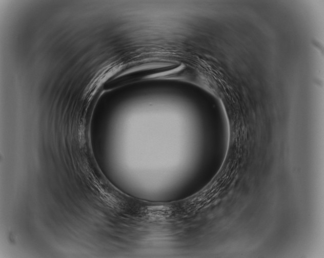 X0000097590050200802291229