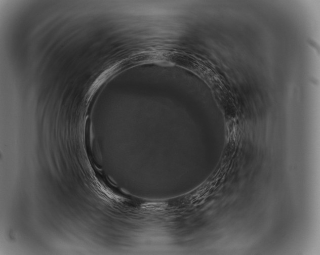 X0000097590051200802291229