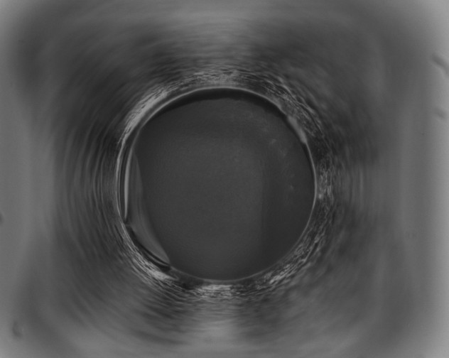 X0000097590052200802291229