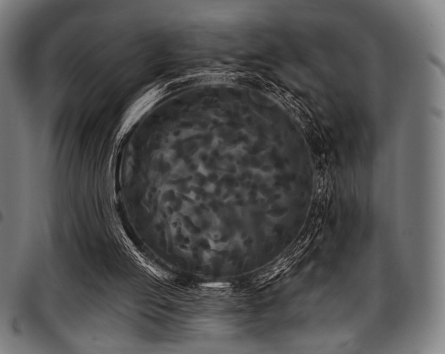 X0000097590053200802291229