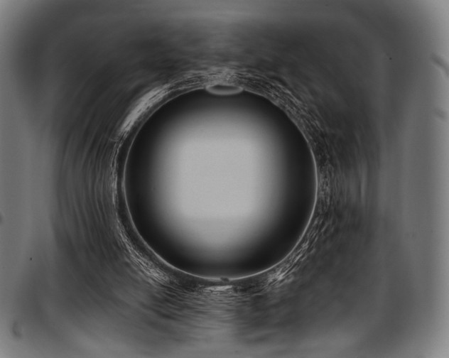 X0000097590054200802291229