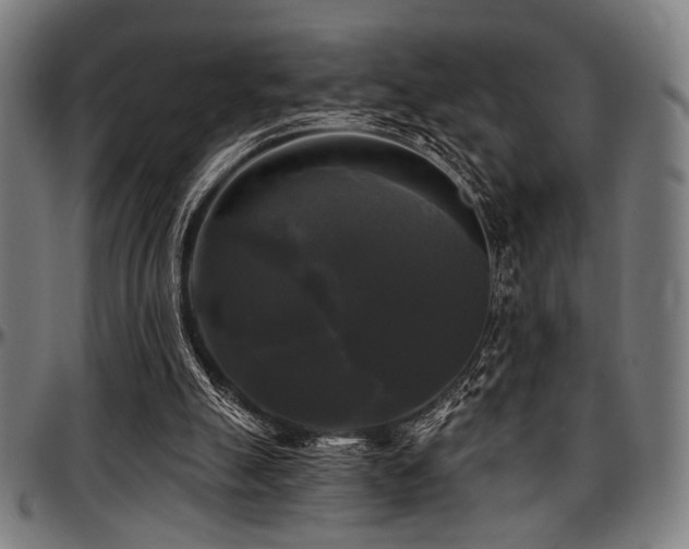 X0000097590055200802291229