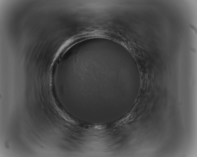 X0000097590056200802291229