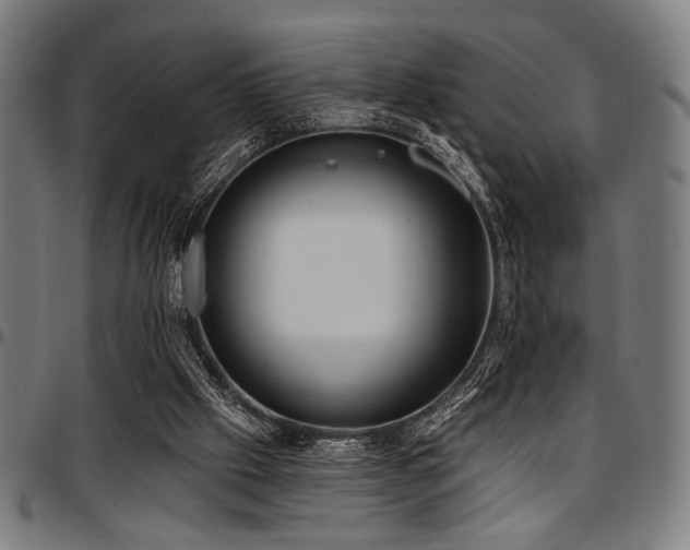 X0000097590057200802291229