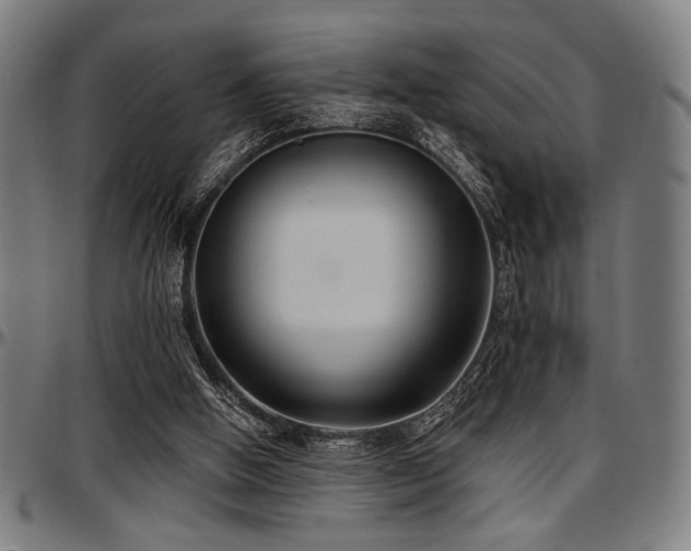 X0000097590058200802291229
