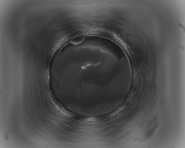 X0000097590059200802291229
