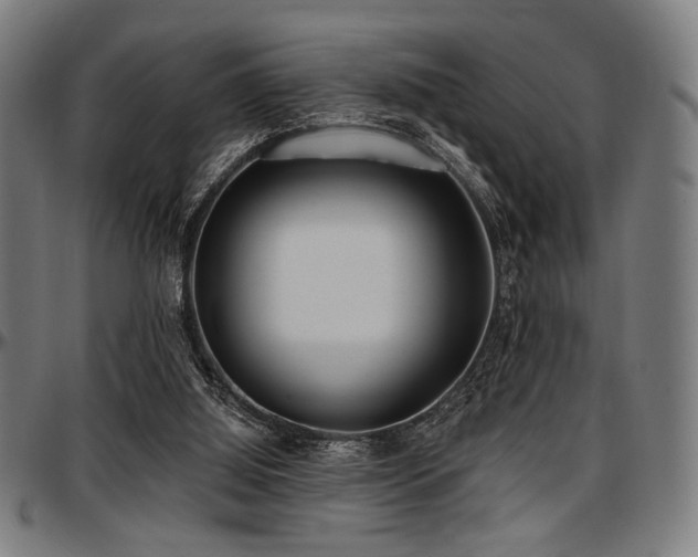 X0000097590060200802291229