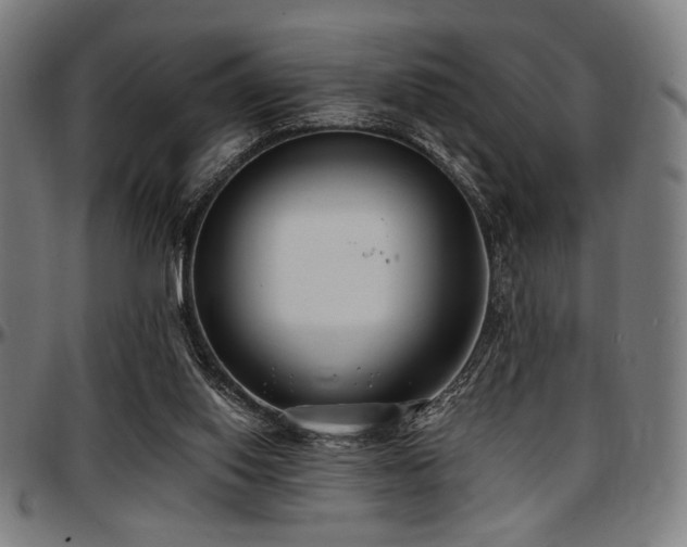 X0000097590062200802291229