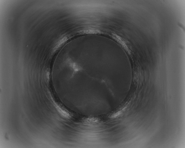 X0000097590063200802291229