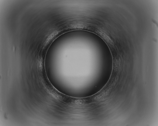 X0000097590064200802291229