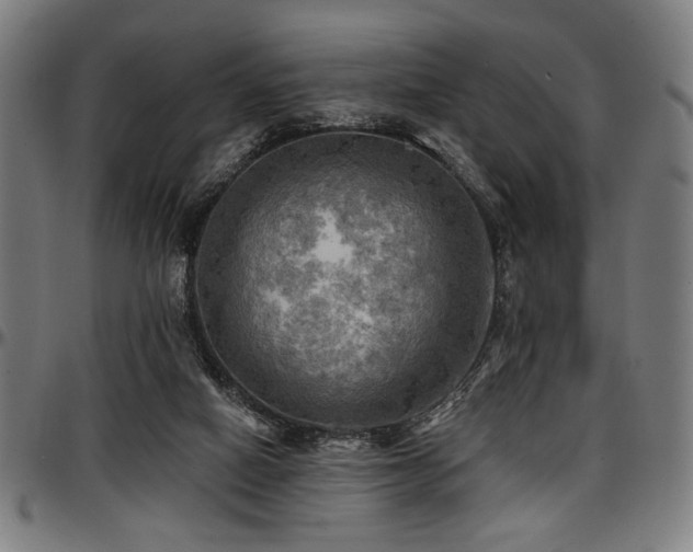 X0000097590066200802291229