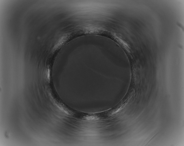 X0000097590067200802291229