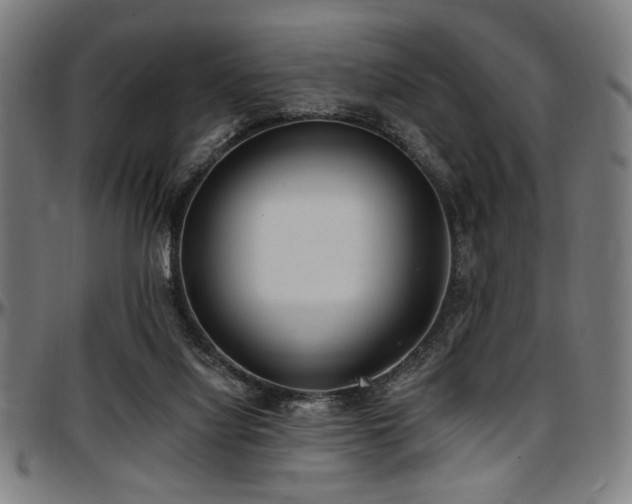 X0000097590068200802291229