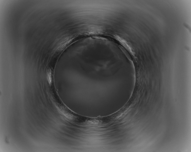 X0000097590069200802291229