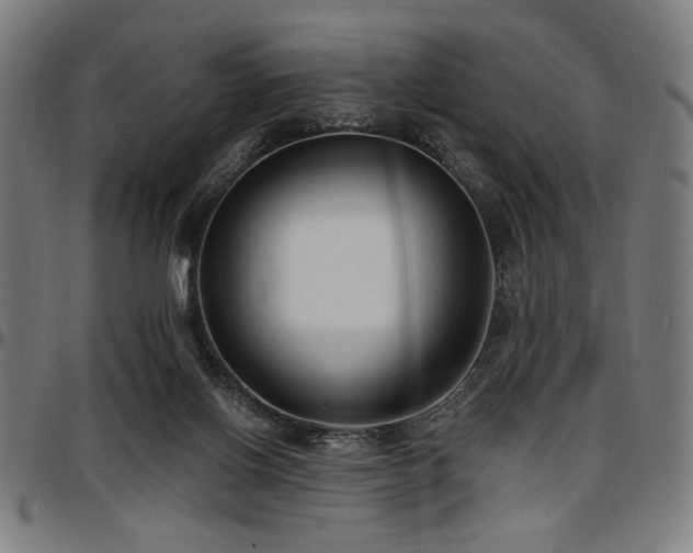 X0000097590070200802291229