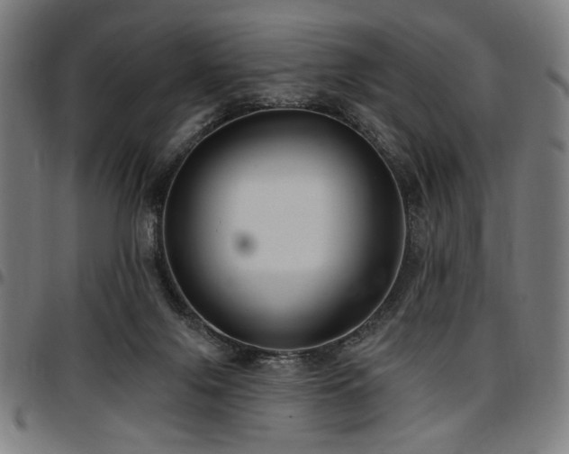 X0000097590071200802291229