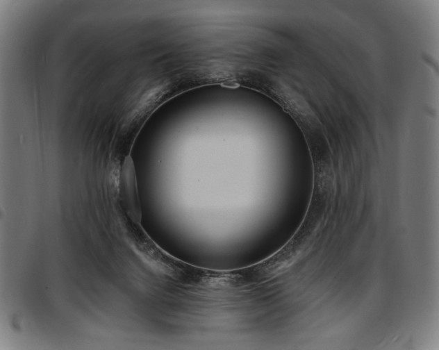 X0000097590072200802291229