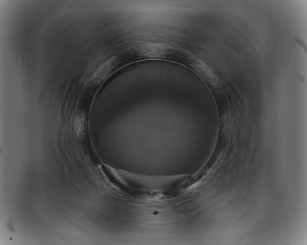 X0000097590073200802291229