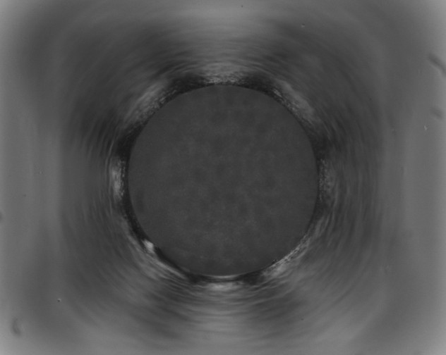 X0000097590074200802291229