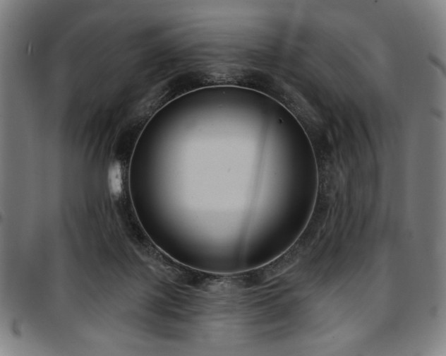 X0000097590075200802291229