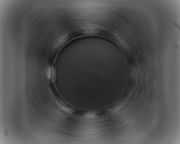 X0000097590076200802291229