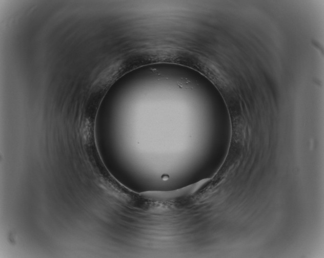 X0000097590077200802291229