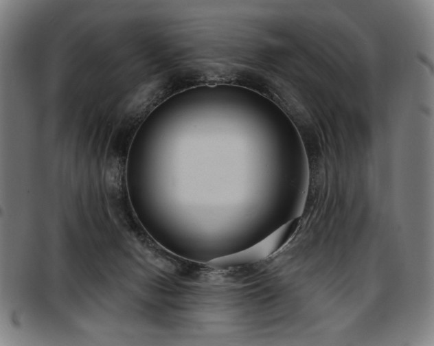 X0000097590078200802291229