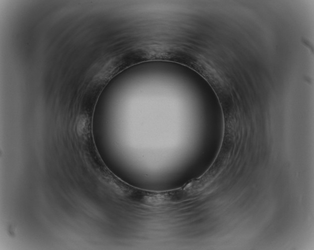 X0000097590079200802291229