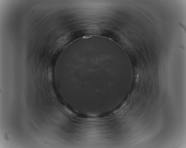X0000097590080200802291229