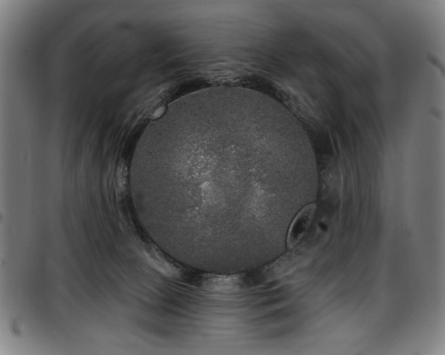 X0000097590081200802291229