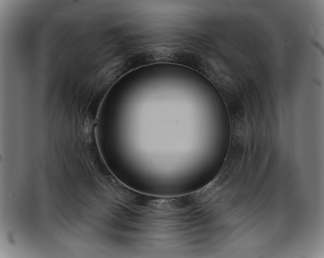 X0000097590082200802291229