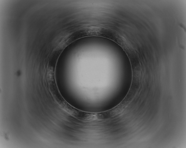 X0000097590083200802291229