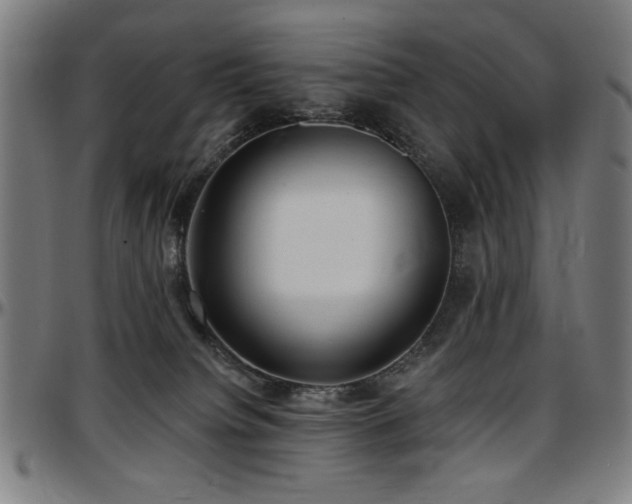 X0000097590084200802291229