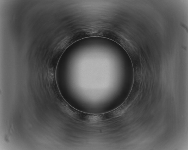 X0000097590085200802291229