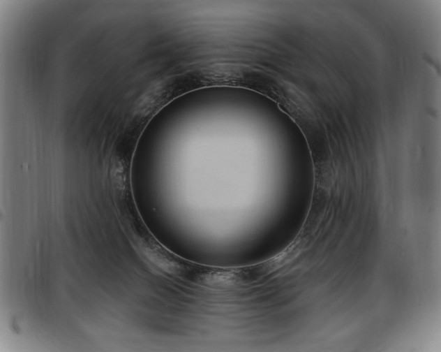 X0000097590086200802291229