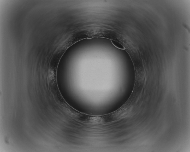 X0000097590087200802291229