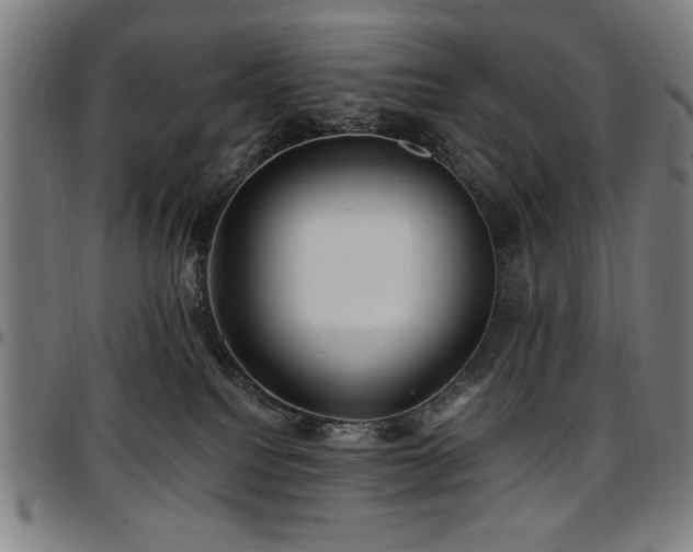 X0000097590088200802291229