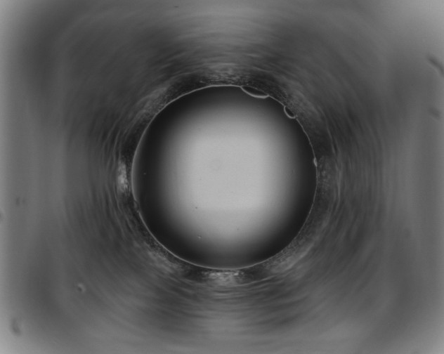 X0000097590089200802291229