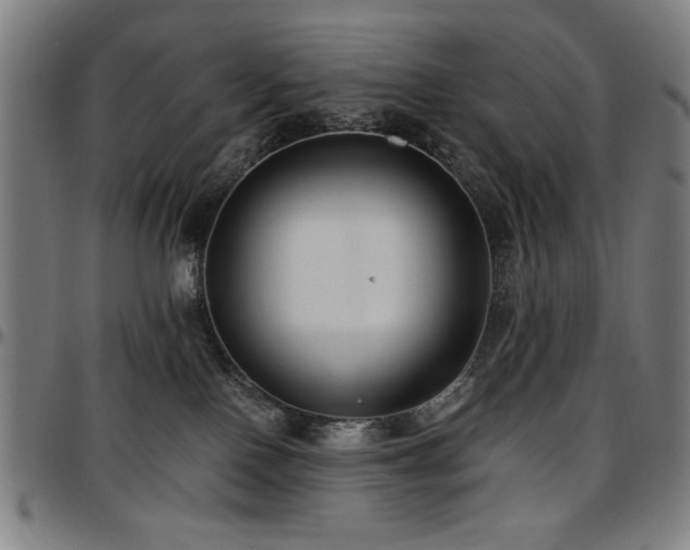 X0000097590090200802291229