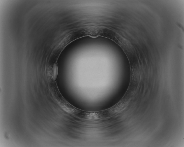 X0000097590091200802291229