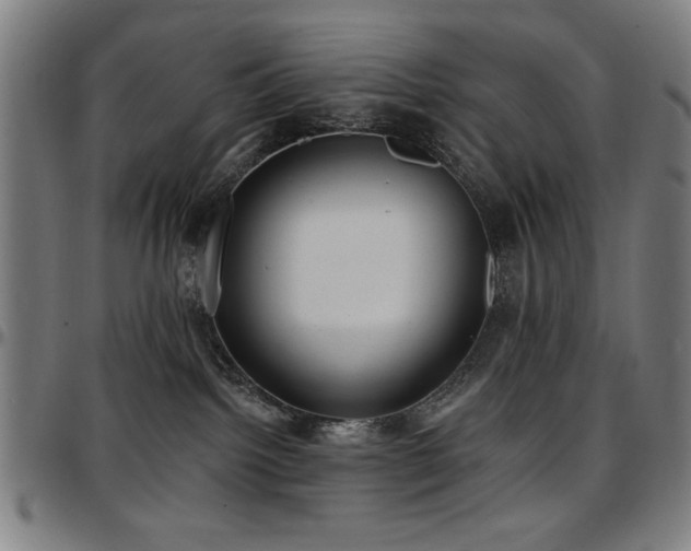 X0000097590092200802291229