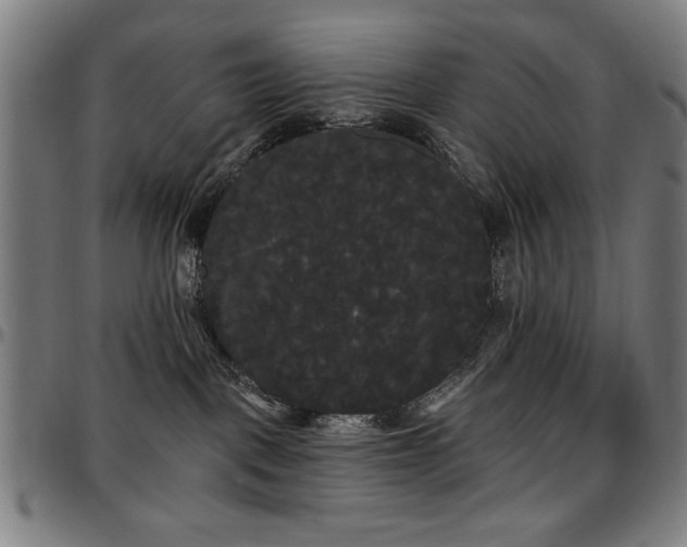 X0000097590093200802291229