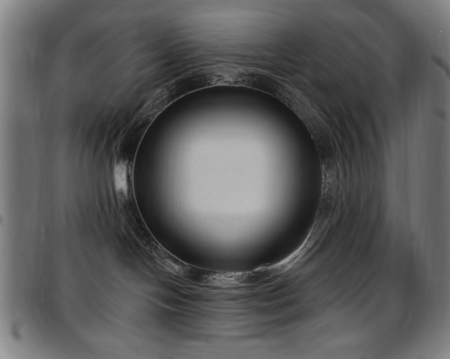 X0000097590094200802291229