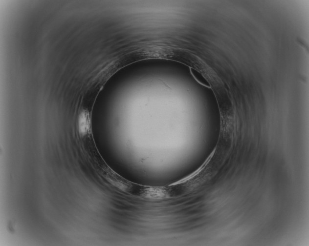 X0000097590095200802291229